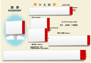 パスポートの不要情報を隠した提出例